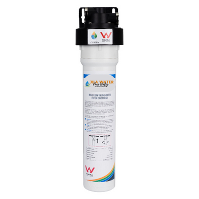 Scale & Parasite Protection Replacement Inline Filter